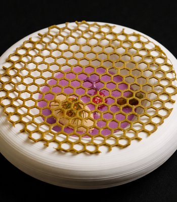 Vegetarian degustation menu - Gourmet restaurant in Prague