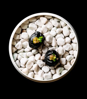 �Crayfish� - Crayfish / Dill / Bisque