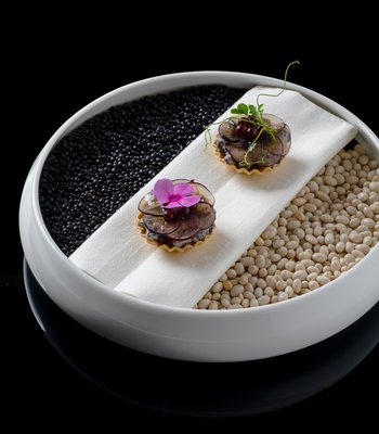 Vegetarian degustation menu - Gourmet restaurant in Prague