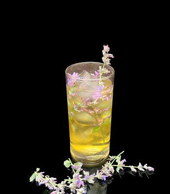 Czech Modern Art menu - Gourmet restaurant in Prague