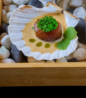 Prague Triton Restaurant - Fine Dining at its Best - Prague Triton Restaurant - Fine Dining at its Best