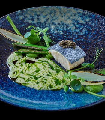 Sturgeon - Sturgeon / Fennel / Caviar / Peas